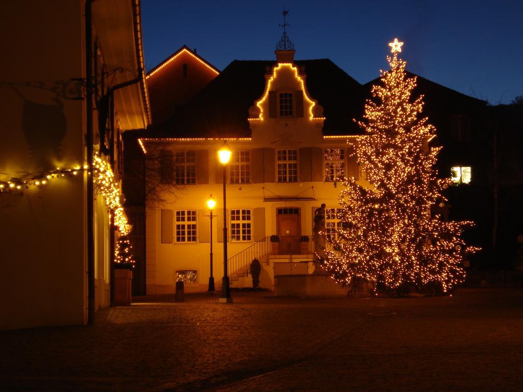 Hotel Gasthof Zum Ochsen Arlesheim Εξωτερικό φωτογραφία