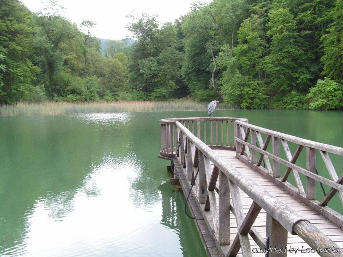 Hotel Gasthof Zum Ochsen Arlesheim Εξωτερικό φωτογραφία